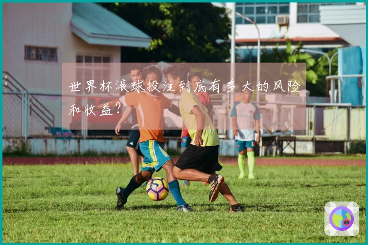 世界杯滚球投注到底有多大的风险和收益？