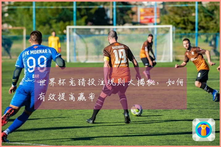 世界杯竞猜投注规则大揭秘，如何有效提高赢率
