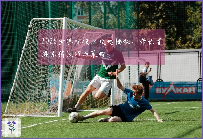 2026世界杯投注攻略揭秘，带你掌握竞猜技巧与策略