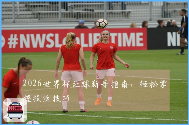2026世界杯让球新手指南，轻松掌握投注技巧