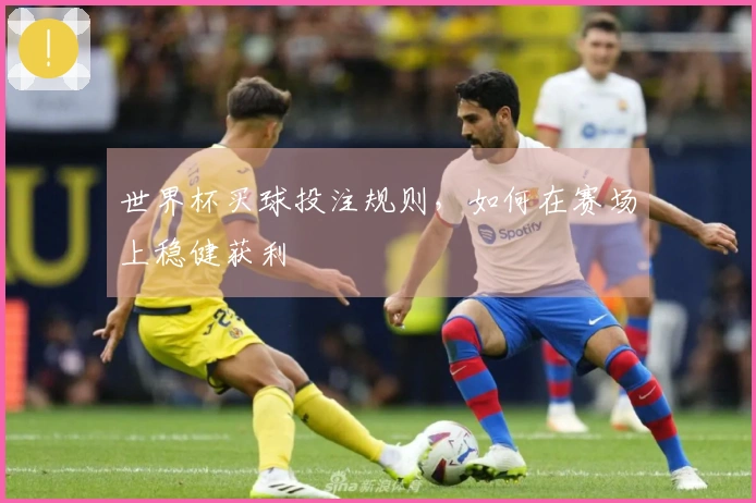 世界杯买球投注规则，如何在赛场上稳健获利