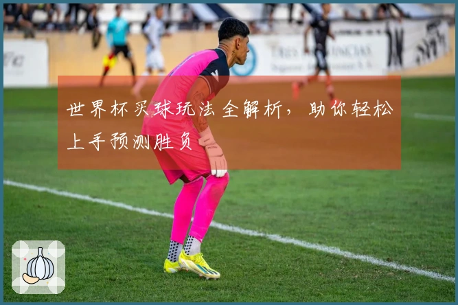 世界杯买球玩法全解析，助你轻松上手预测胜负