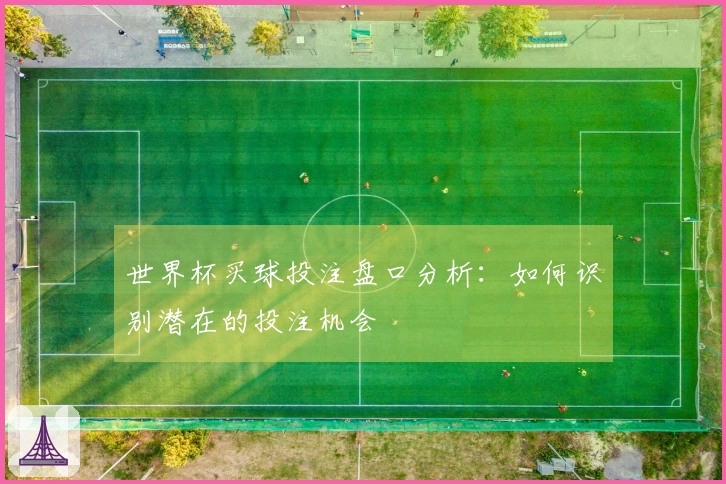 世界杯买球投注盘口分析：如何识别潜在的投注机会