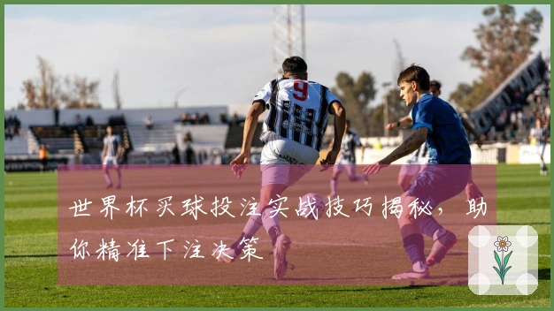 世界杯买球投注实战技巧揭秘，助你精准下注决策