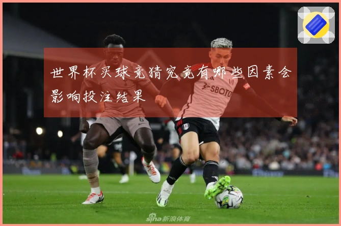 世界杯买球竞猜究竟有哪些因素会影响投注结果