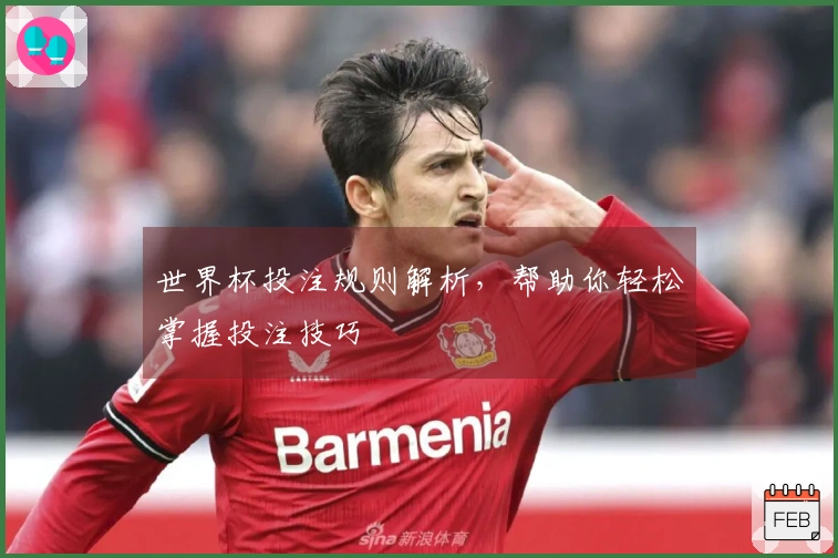 世界杯投注规则解析，帮助你轻松掌握投注技巧