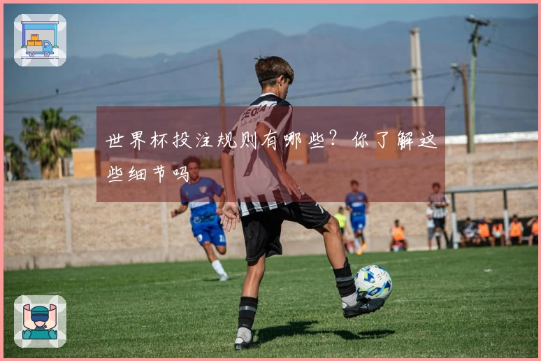 世界杯投注规则有哪些？你了解这些细节吗