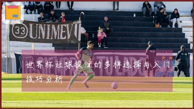 世界杯让球投注的多样选择与入门技巧分析