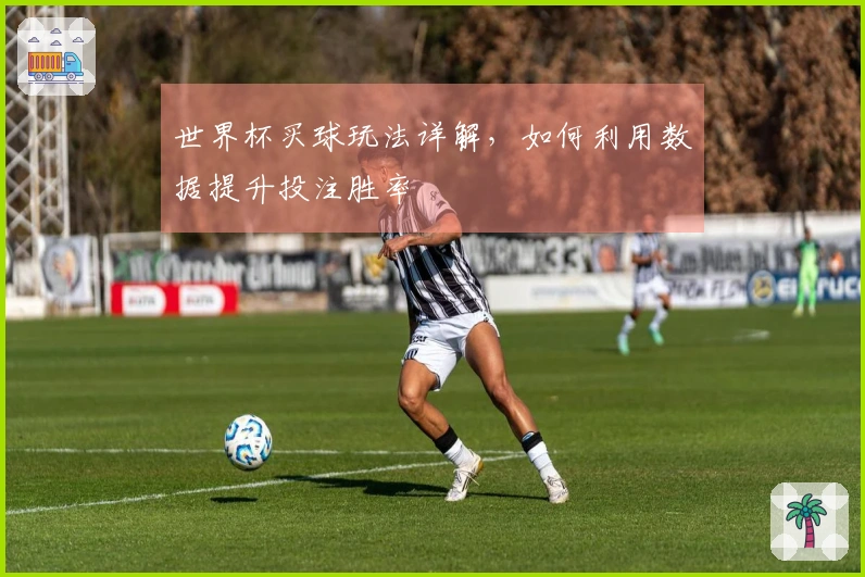 世界杯买球玩法详解，如何利用数据提升投注胜率