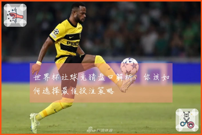 世界杯让球竞猜盘口解析，你该如何选择最佳投注策略